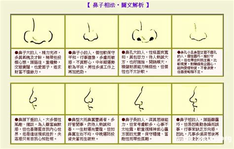 鼻子受傷面相|「面相」鼻為面王，鼻子看你性格和財運！